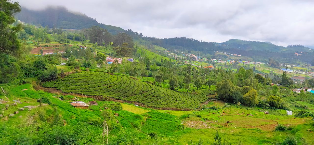 Bangalore to Ooty Cab Service